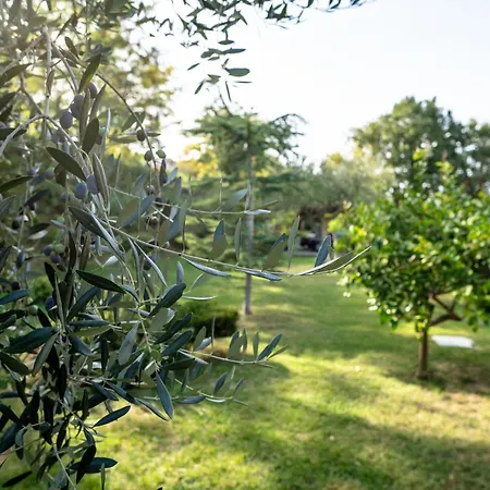 Дом отдыха Reve D'or By Interhome *