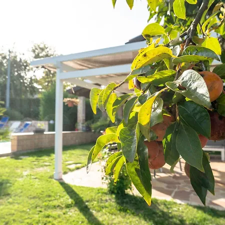 Reve D'or By Interhome