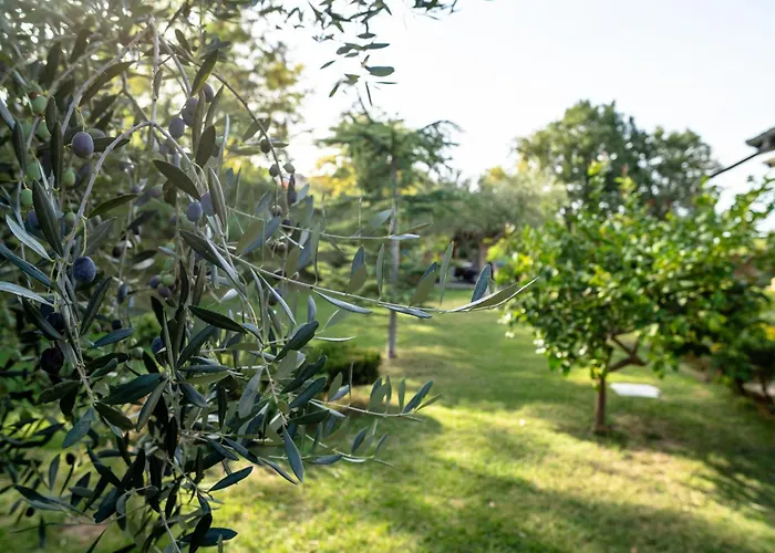 Tatil Evi Reve D'or By Interhome *