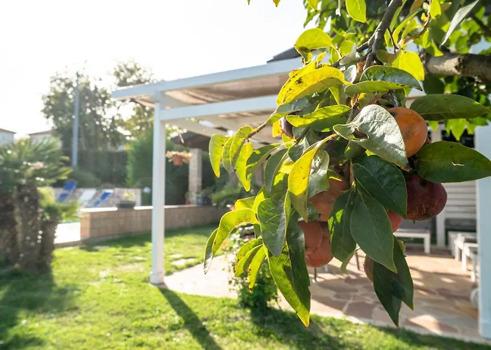 Reve D'or By Interhome